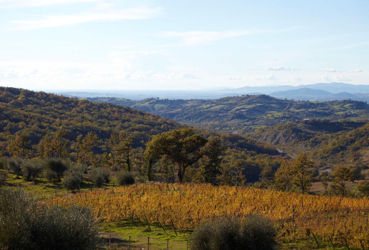 Fattoria La Pieve Villa Stribugliano Exterior photo